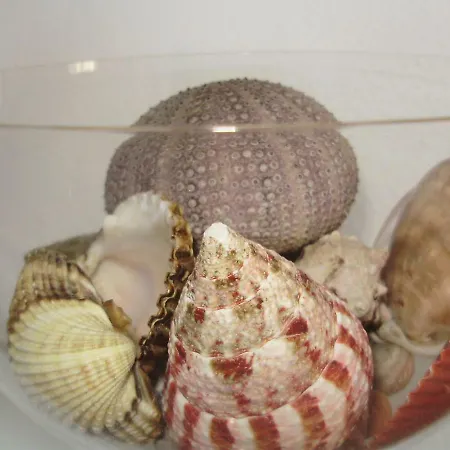 Lägenhet Petranic Supetar