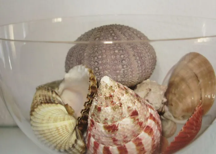 Appartement Petranic Supetar