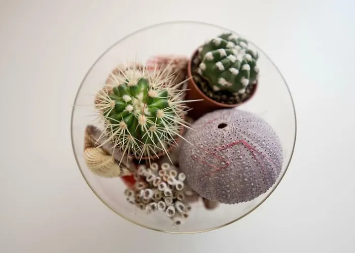 Petranic Appartement Supetar