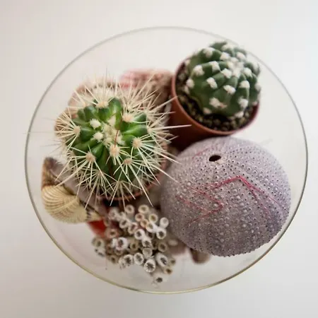 Petranic アパート スペタル